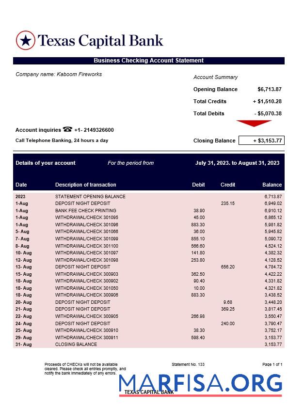 Realistic Texas Capital Bank company account statement Word and PDF template